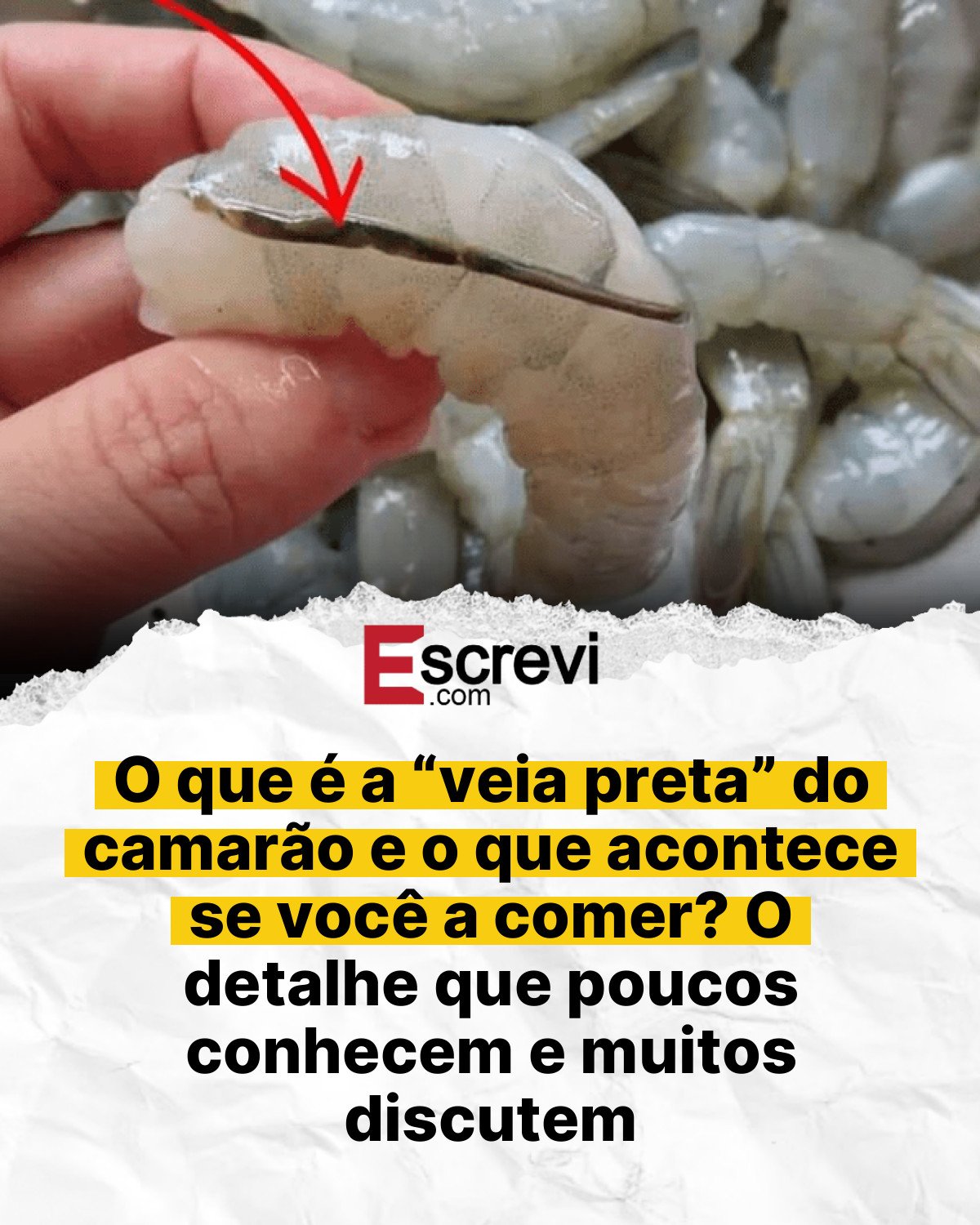 O que é a “veia preta” do camarão e o que acontece se você a comer? O detalhe que poucos conhecem e muitos discutem card branco