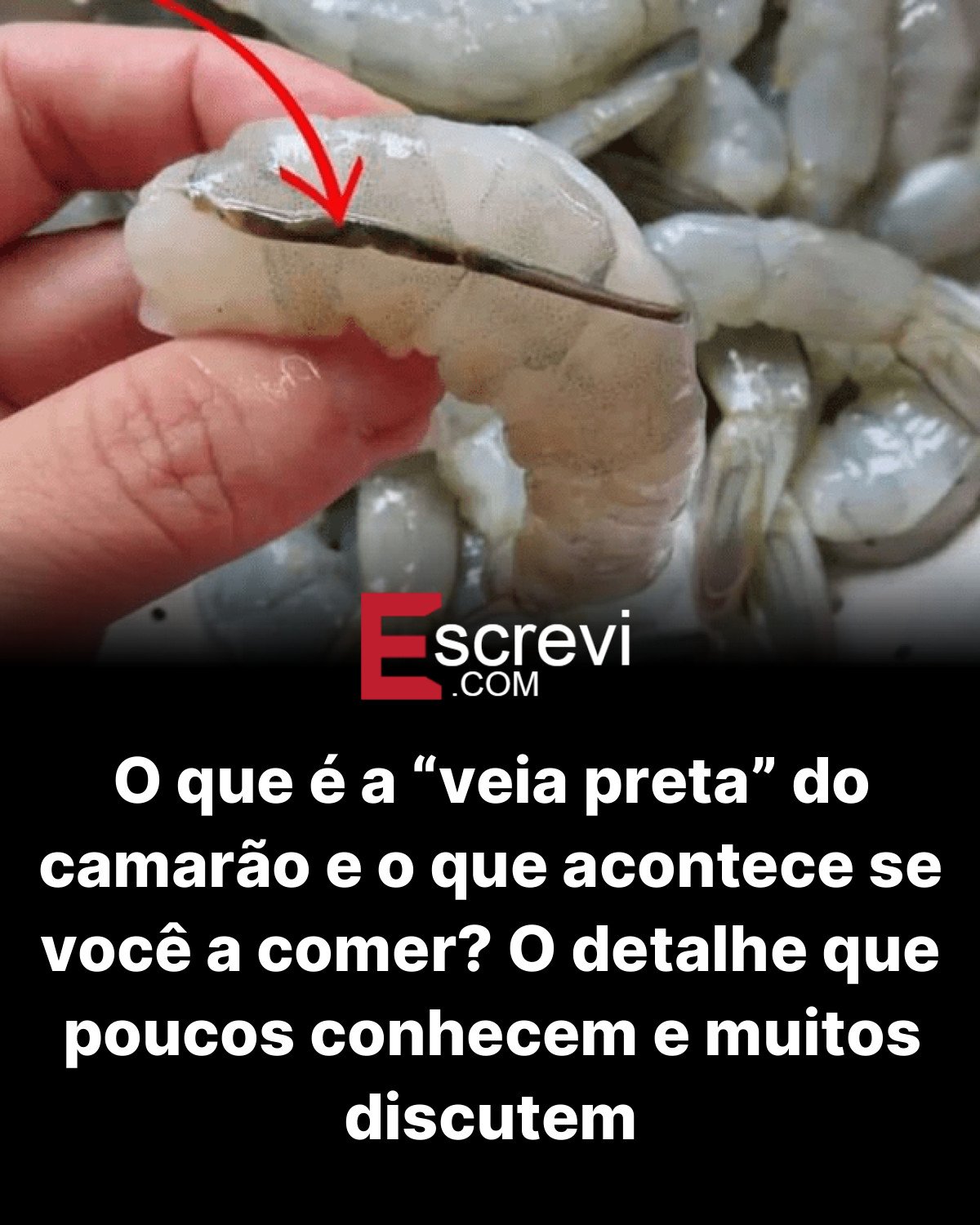O que é a “veia preta” do camarão e o que acontece se você a comer? O detalhe que poucos conhecem e muitos discutem card preto