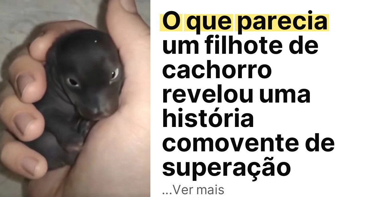 O que parecia um filhote de cachorro revelou uma história comovente de superação imagem principal