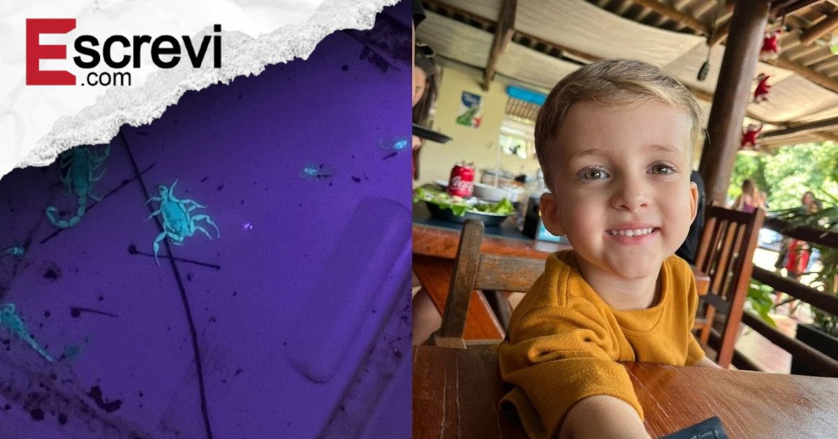 Picada de escorpião: cidade em SP reforça combate após morte de menino imagem principal