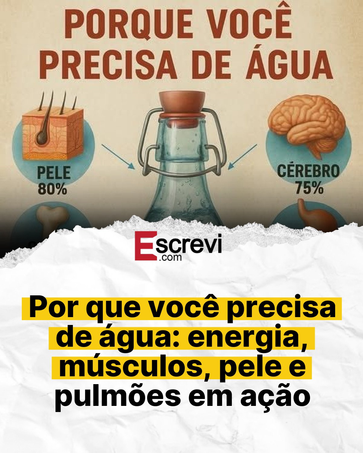 Por que você precisa de água: energia, músculos, pele e pulmões em ação card branco