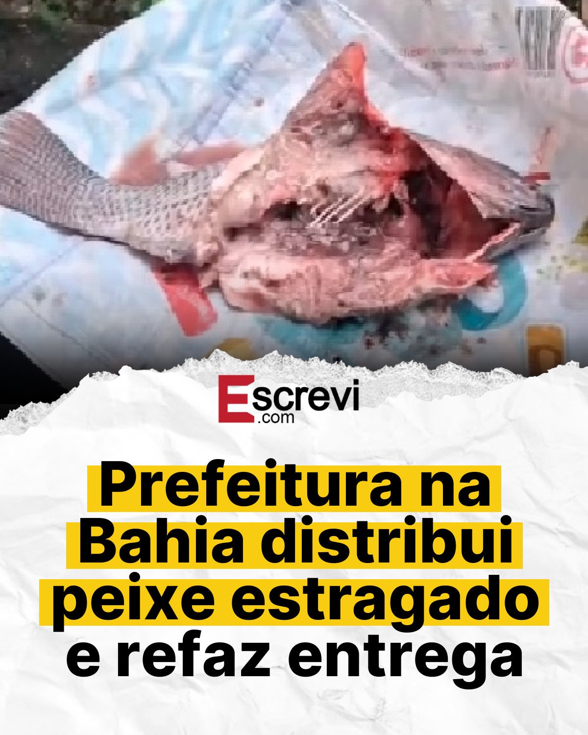 Prefeitura na Bahia distribui peixe estragado e refaz entrega card branco