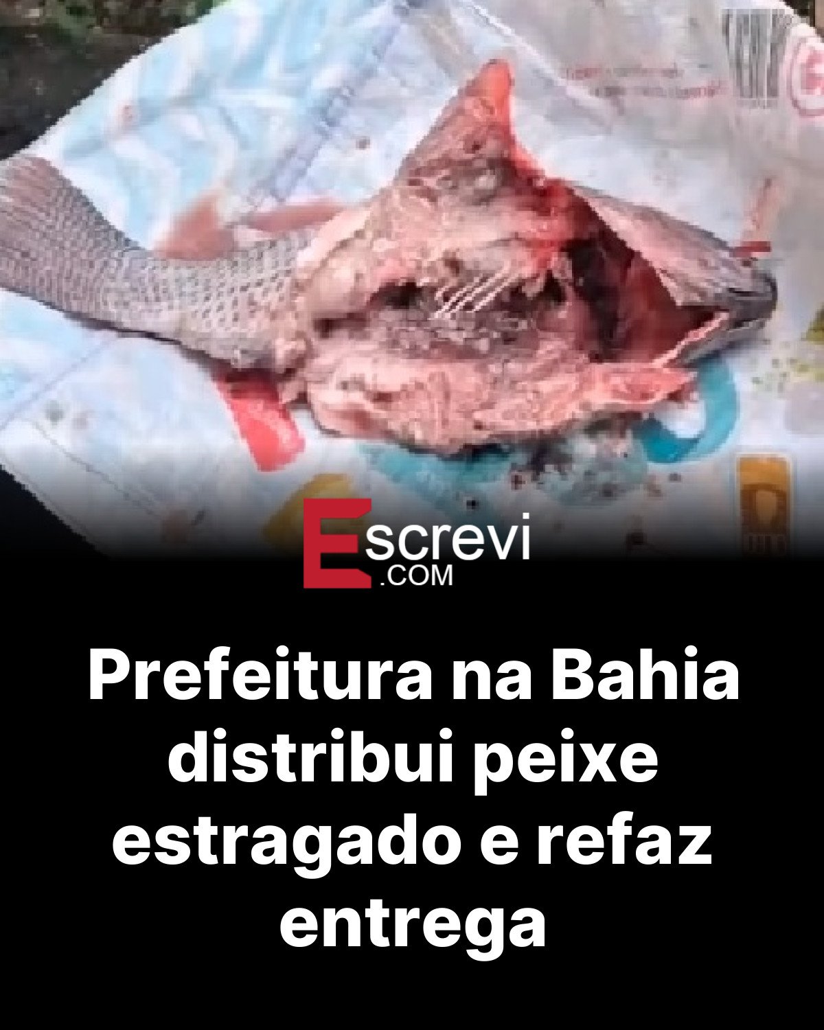 Prefeitura na Bahia distribui peixe estragado e refaz entrega card preto
