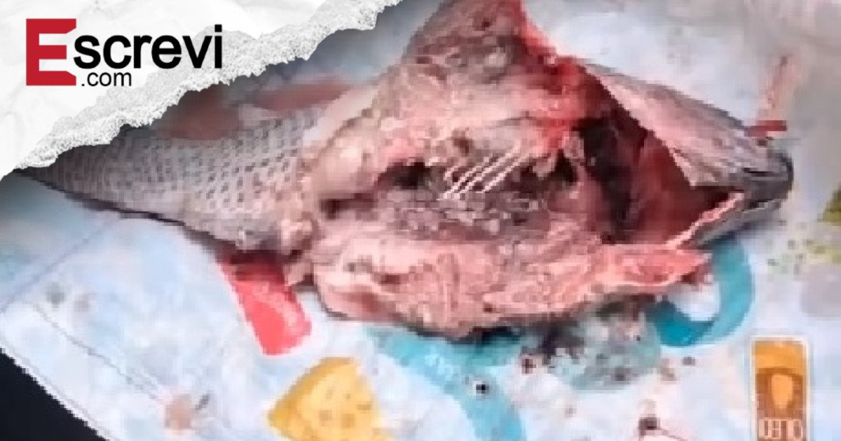 Prefeitura na Bahia distribui peixe estragado e refaz entrega imagem principal