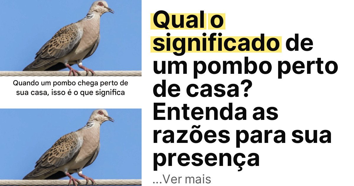 Qual o significado de um pombo perto de casa? Entenda as razões para sua presença imagem principal