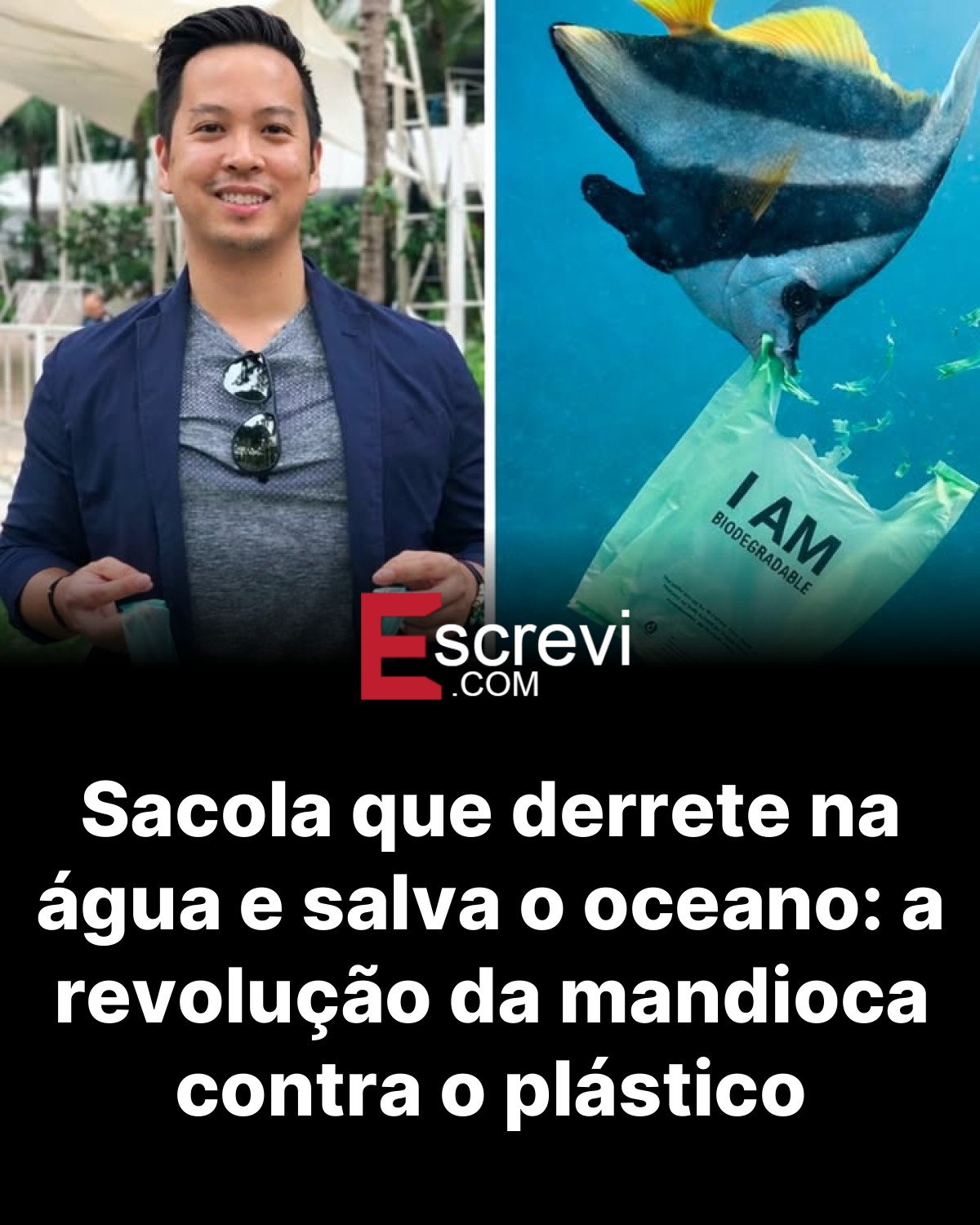 Sacola que derrete na água e salva o oceano: a revolução da mandioca contra o plástico card preto