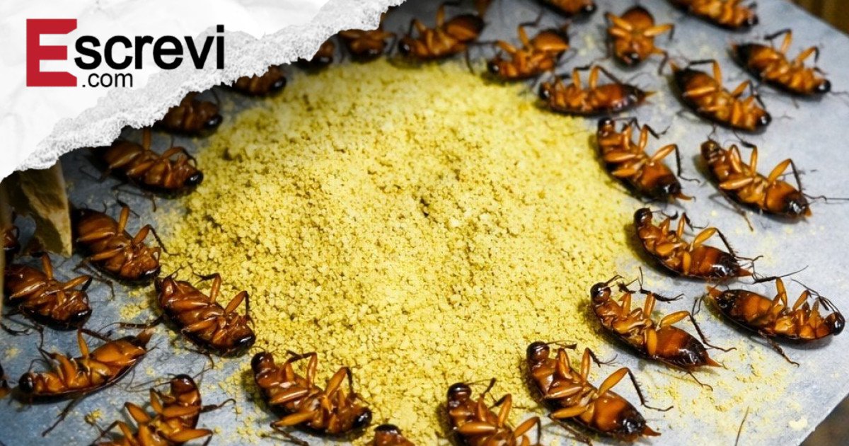 Todas morrem na hora! Veja como eliminar baratas rapidamente, sem usar veneno e sem gastar nada imagem principal