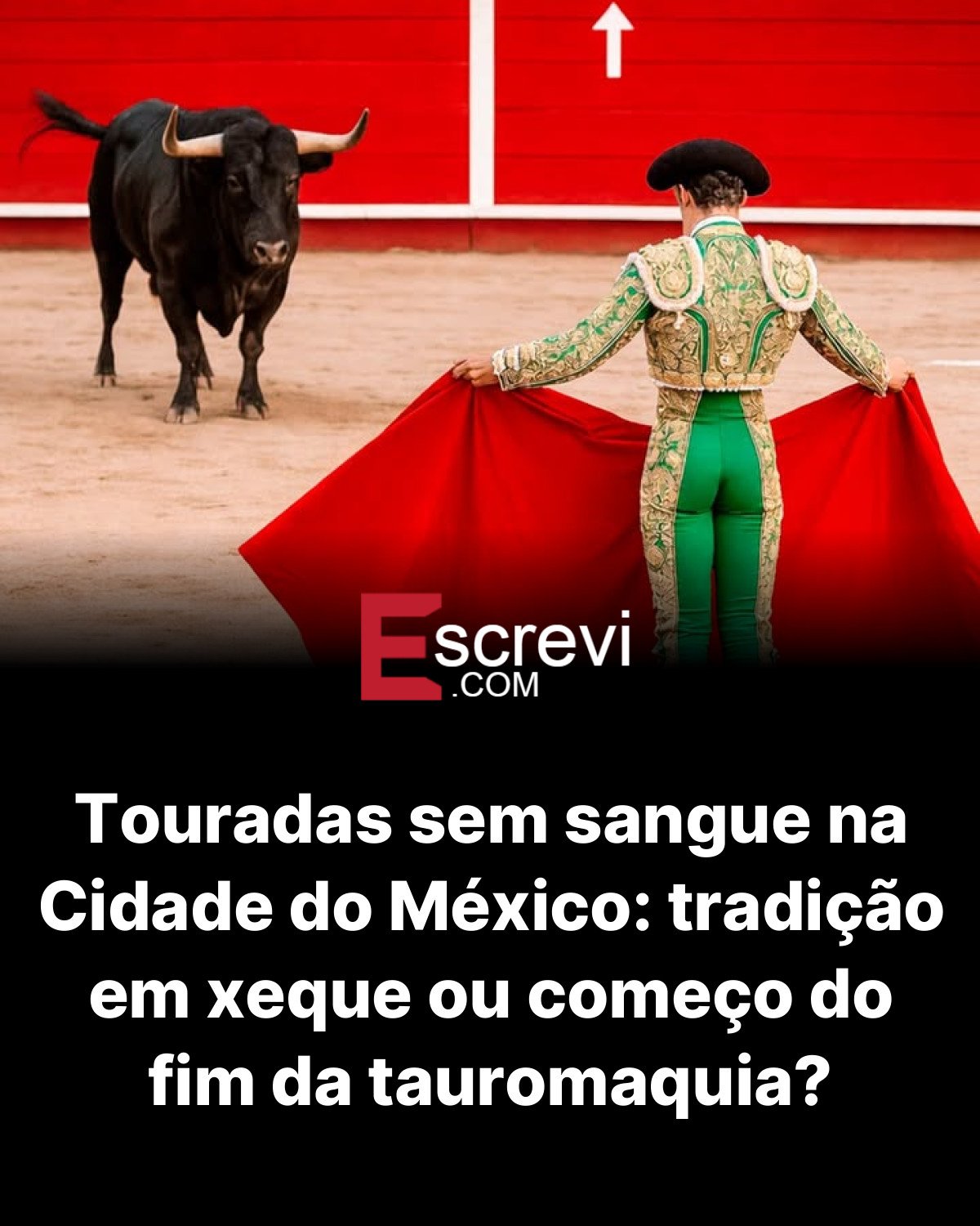 Touradas sem sangue na Cidade do México: tradição em xeque ou começo do fim da tauromaquia? card preto