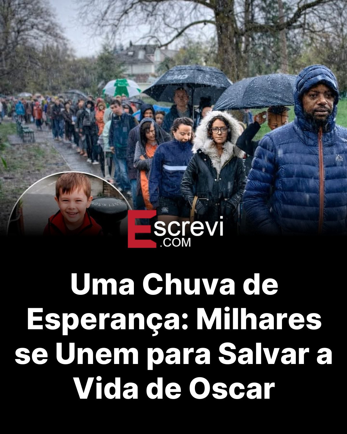 Uma Chuva de Esperança: Milhares se Unem para Salvar a Vida de Oscar card preto