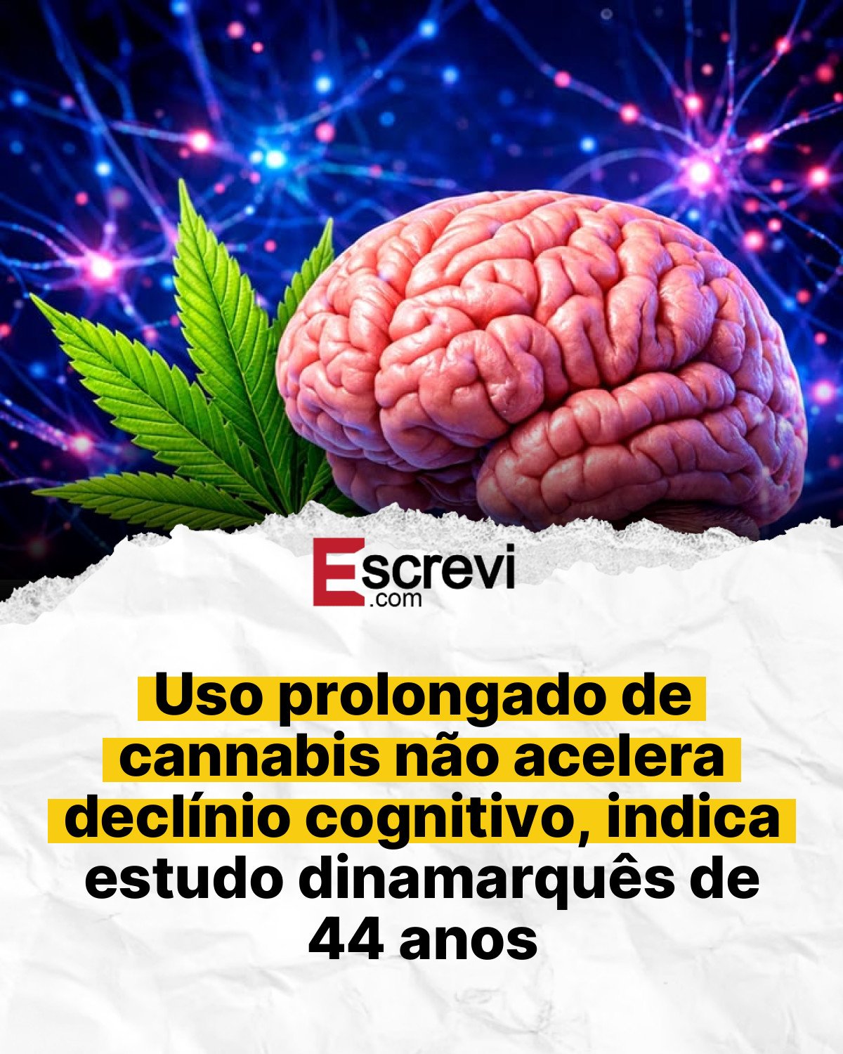 Uso prolongado de cannabis não acelera declínio cognitivo, indica estudo dinamarquês de 44 anos card branco