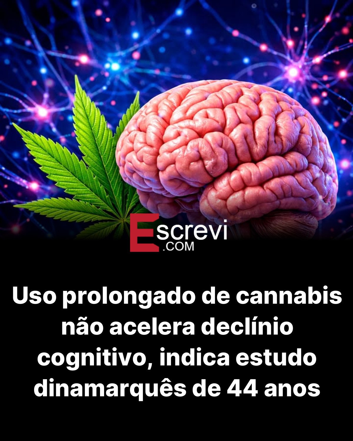 Uso prolongado de cannabis não acelera declínio cognitivo, indica estudo dinamarquês de 44 anos card preto