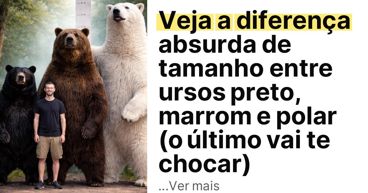 Veja a diferença absurda de tamanho entre ursos preto, marrom e polar (o último vai te chocar) imagem principal