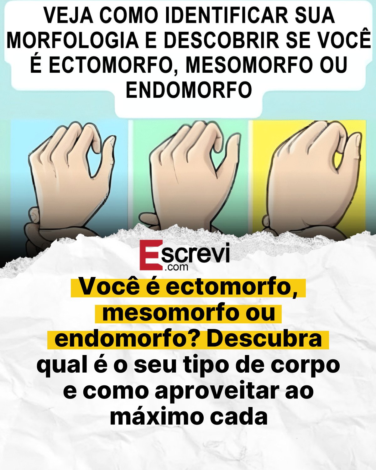Você é ectomorfo, mesomorfo ou endomorfo? Descubra qual é o seu tipo de corpo e como aproveitar ao máximo cada característica card branco