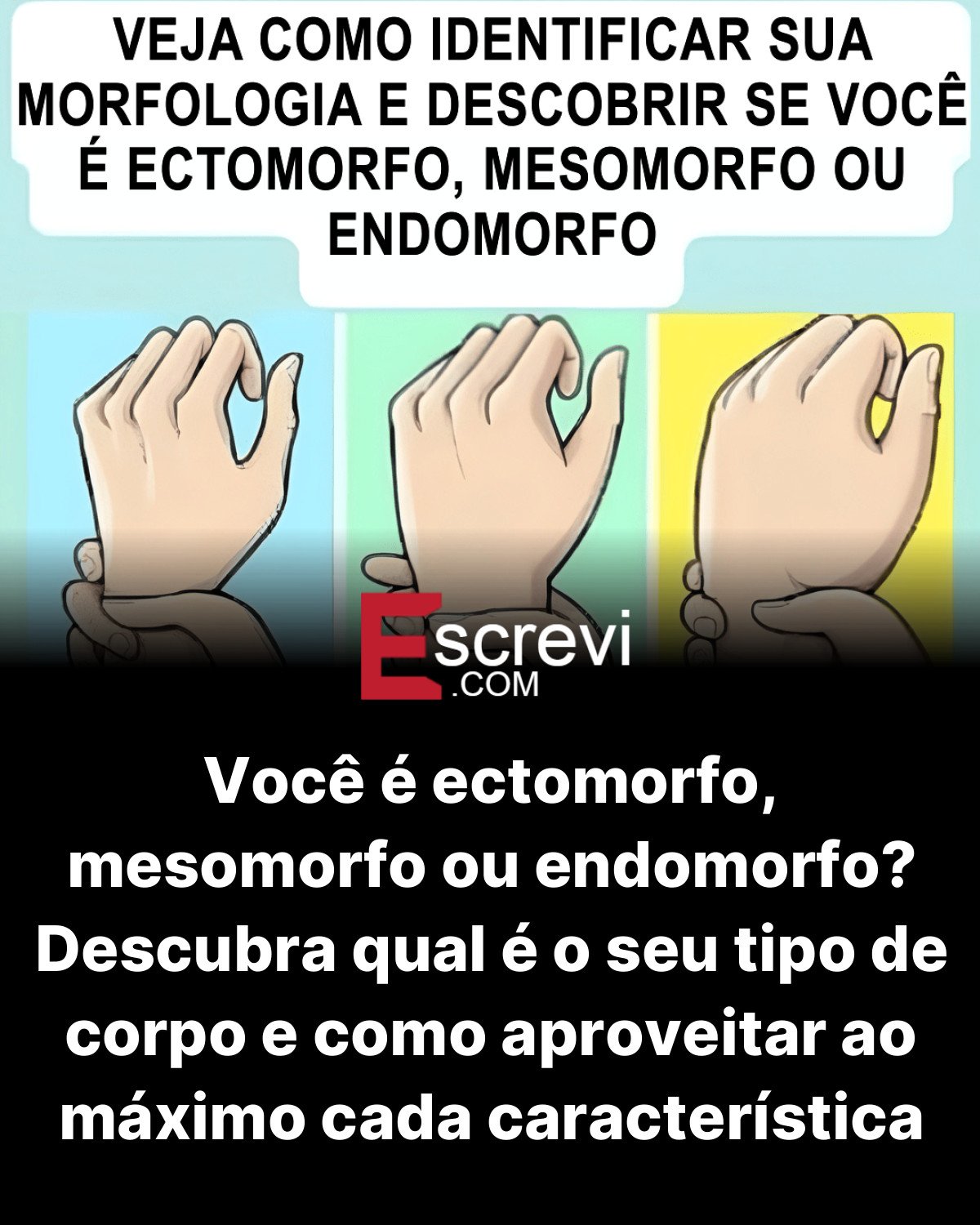Você é ectomorfo, mesomorfo ou endomorfo? Descubra qual é o seu tipo de corpo e como aproveitar ao máximo cada característica card preto