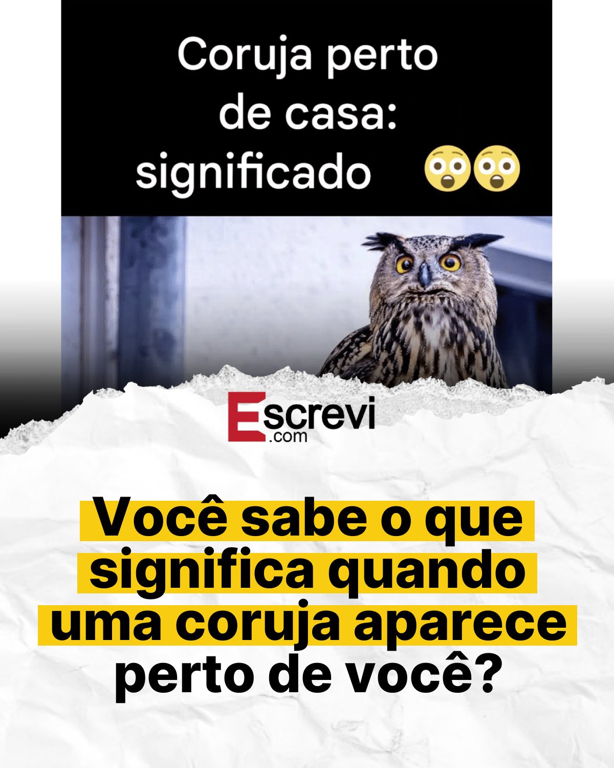 Você sabe o que significa quando uma coruja aparece perto de você? card branco