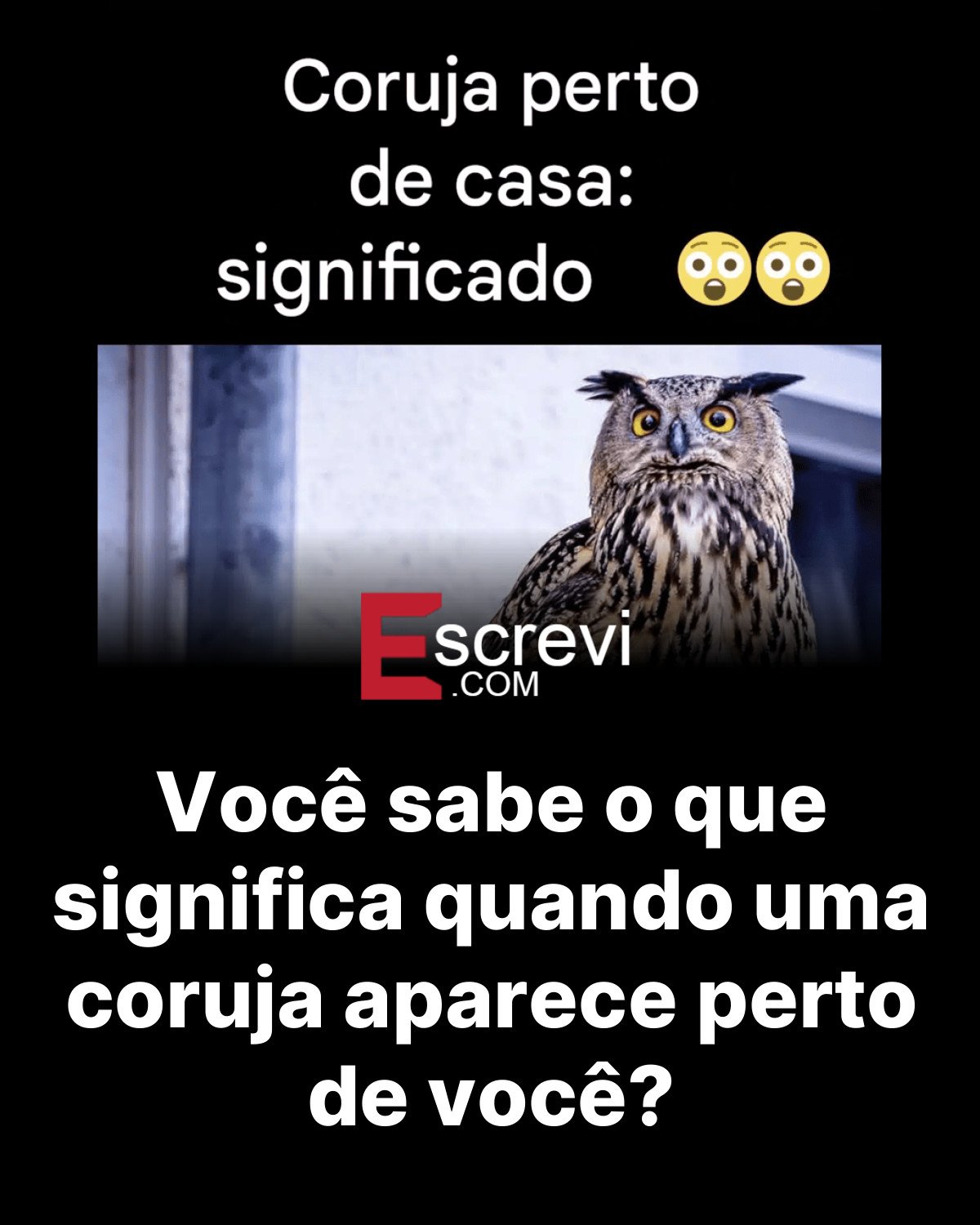 Você sabe o que significa quando uma coruja aparece perto de você? card preto